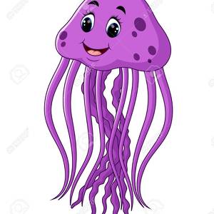 Fundraising Page: Jelly Fish